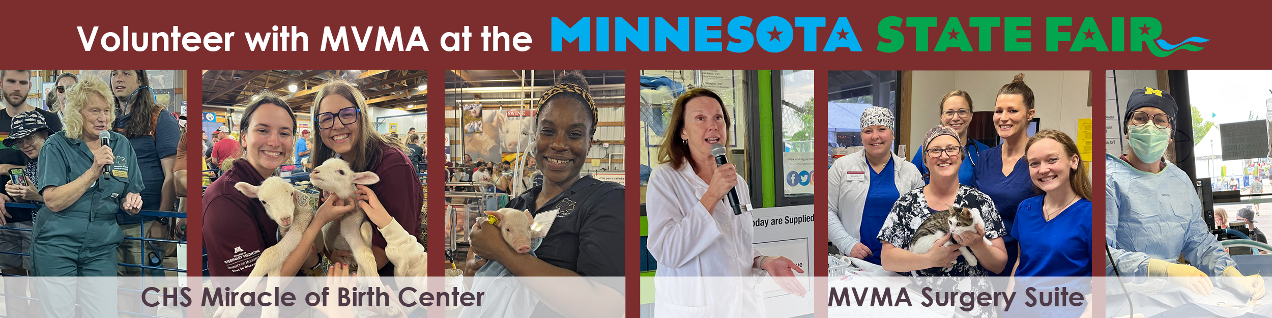 Volunteer at the 2025 Minnesota State Fair
