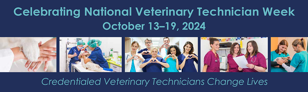 Celebrating National Vet Tech Week Oct. 13-19